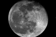 我见明月,共赏人间美景