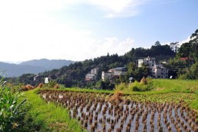 田园风光,诗意栖息的世外桃源